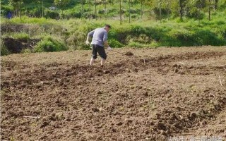 关于翡翠鼻烟壶的价格的信息