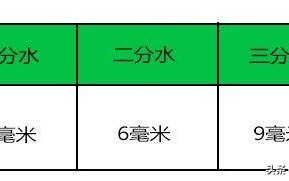 翡翠手镯有水不通透翡翠跟玉的区别