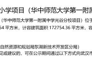 剑灵天阳手镯6段上12大概多少钱翡翠天阳手镯