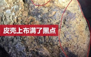 关于刚买的翡翠原石上面有小白点的信息