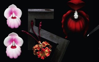 法国设计师Emmanuel Tarpin 推出首个高级珠宝系列 绽放兰花之美