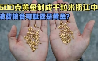 用500克黄金制1000粒米扔黄浦江,艺术家用500克黄金制千粒米扔江中