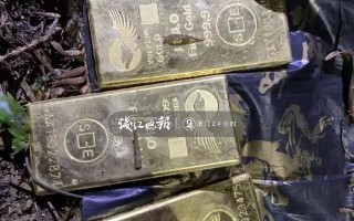 澳大利亚淘金客挖出两块黄金澳大利亚淘金客挖出两块黄金是真的吗