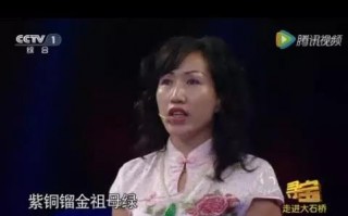 顶级祖母绿翡翠手镯翡翠祖母绿手镯价格