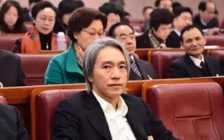 亿万富翁打碎翡翠手镯赔偿,汤煜峰摔坏玉镯是哪集