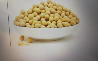 大豆都有什么品种？