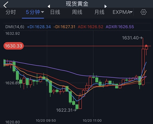 突发行情！美元短线一波跳水、非美货币集体走高 金价急涨突破1630美元-第5张图片-翡翠网