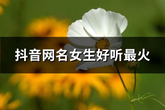 抖音名称.昵称女可爱两个字抖音名称昵称女可爱两个字大全