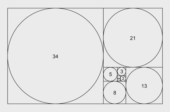 黄金比,黄金比例多少-第1张图片-翡翠网