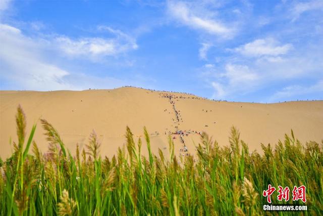 农夫山泉真假翡翠知识农夫山泉5l真假辨别真伪-第3张图片-翡翠网