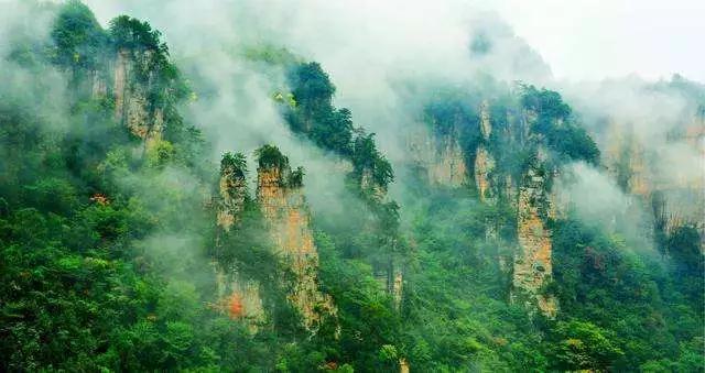 长白山湖酒白象价格,长白山湖绿翡翠酒价格-第16张图片-翡翠网