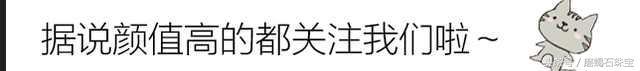 翡翠飘绿手镯白底飘阳绿翡翠手镯多少钱-第5张图片-翡翠网