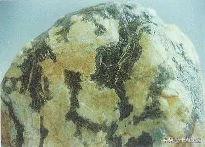 原石翡翠藓,北京翡翠原石有藓-第11张图片-翡翠网