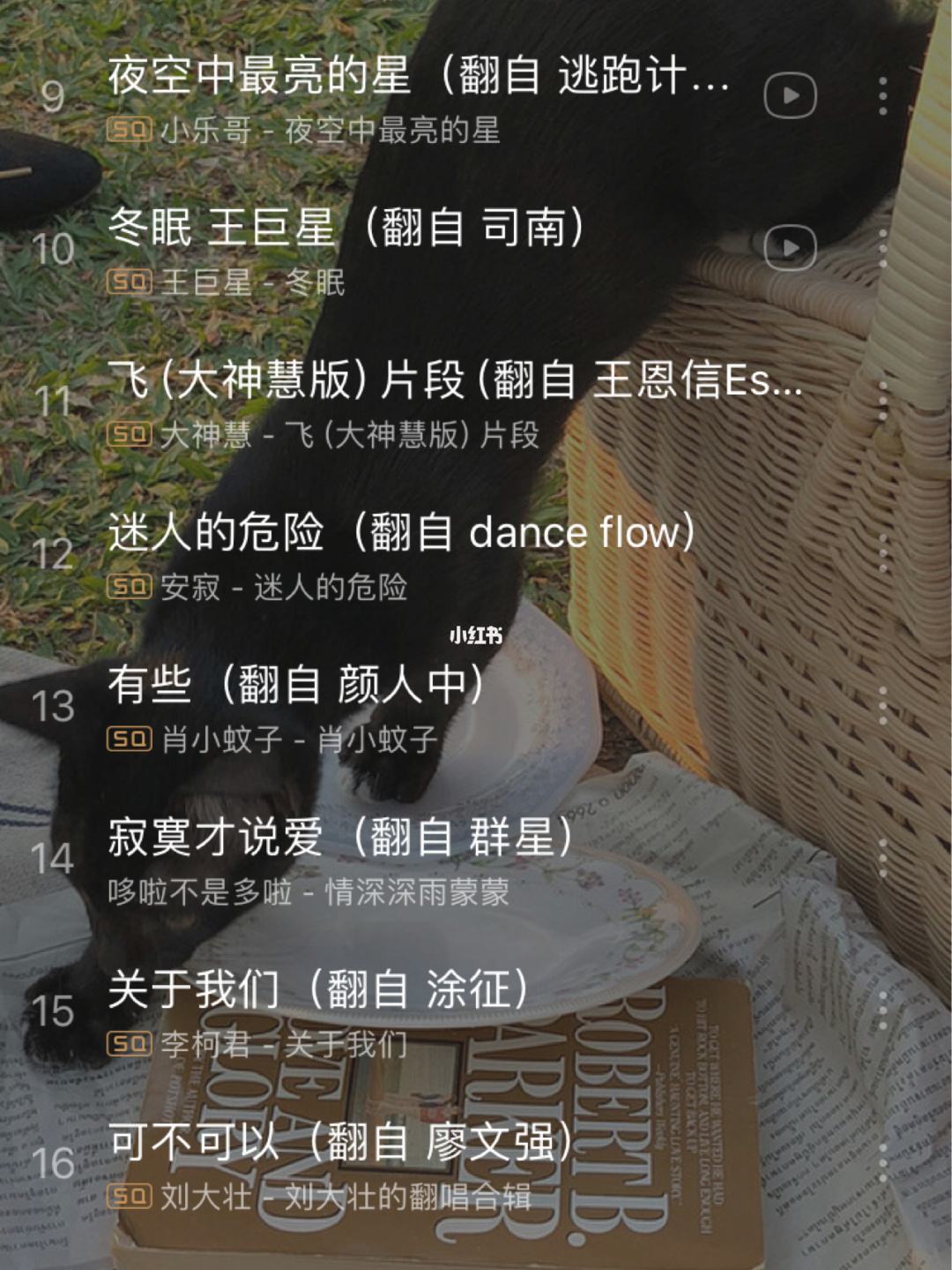 2020抖音网红歌曲100首,抖音最火歌曲2019歌单-第2张图片-翡翠网