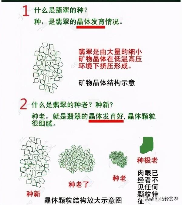 翡翠手镯种水是什么意思翡翠的种和水什么意思-第3张图片-翡翠网