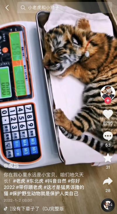 奶豆抖音短视频app下ios,奶豆抖音短视频app下载安装-第4张图片-翡翠网