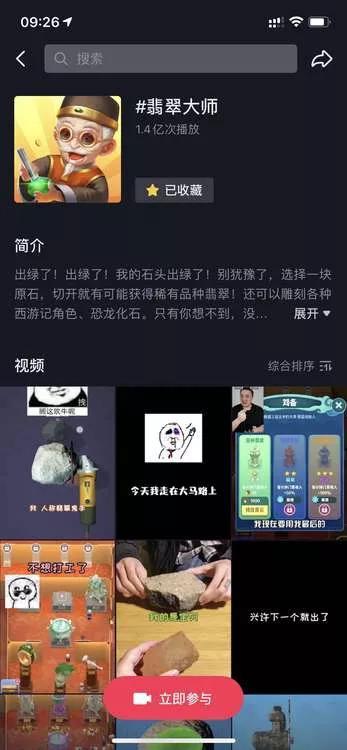 关于翡翠原石游戏的信息-第6张图片-翡翠网