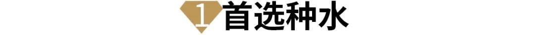 翡翠镯子去哪里买合适荔枝翡翠手镯怎么挑选-第21张图片-翡翠网