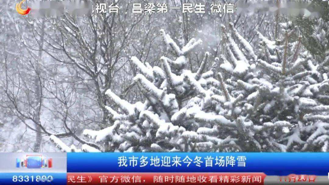 中国2020年首场降雪直播全国多地迎来降雪-第1张图片-翡翠网