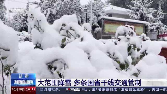 中国2020年首场降雪直播全国多地迎来降雪-第2张图片-翡翠网