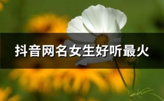 抖音名称.昵称女可爱两个字抖音名称昵称女可爱两个字大全