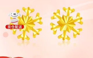 中国黄金耳环价格和图片,中国黄金耳环价格和图片对比