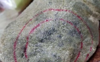 翡翠的皮壳种类和识别图片关于翡翠皮壳的知识的书