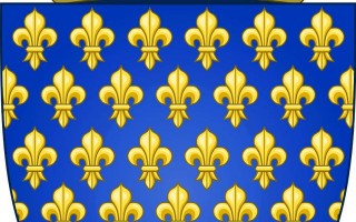 外国朝代也有国号，比如法国卡佩王朝、波旁王朝，国号“法兰西”还是“法兰西王国”？