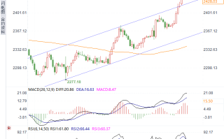 黄金迅速回落！多空双方激烈争夺2430！是买入良机？专家预测大公开！