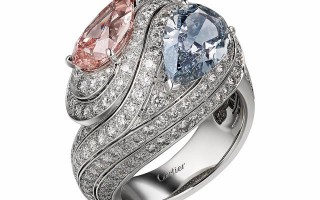 无名指的戒指应该戴普通款式还是高大上款式？
