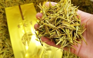 黄金芽属于什么茶保质期黄金芽属于什么茶