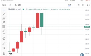 黄金破2450后急回跌！伊朗总统坠机殉难、以军突袭加沙中部酿35死 美联储多名官员讲话登场