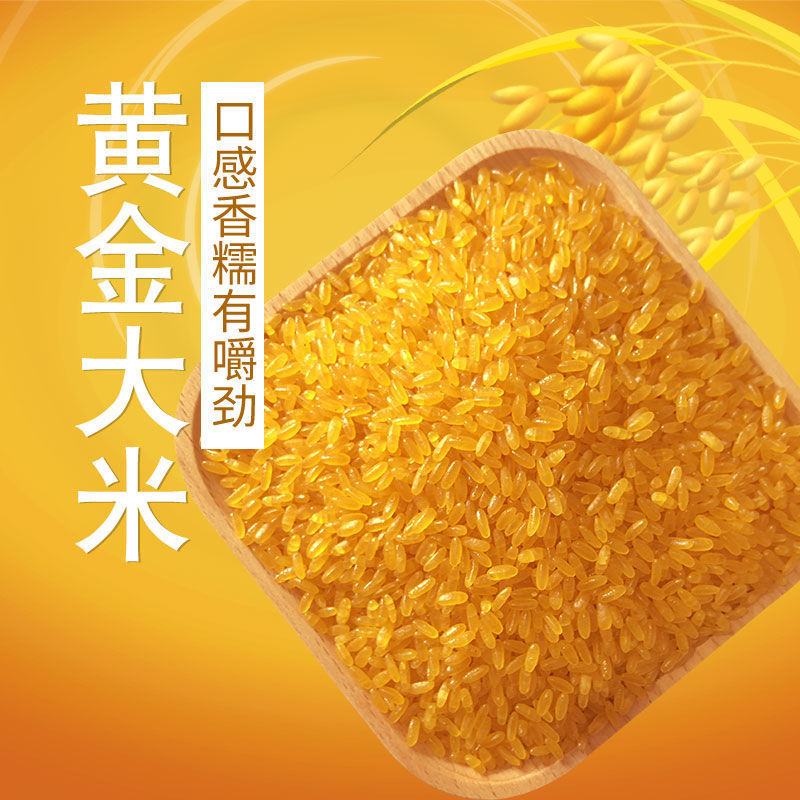黄金米,黄金米糖尿病人能吃吗-第1张图片-翡翠网