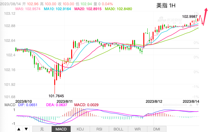 主次节奏：美指日内继续上涨，直逼103.50-第1张图片-翡翠网