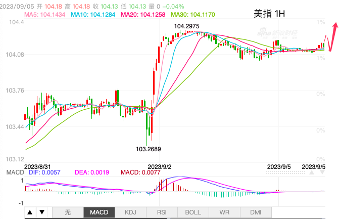 主次节奏：美指坚守强势上行节奏，等突破-第1张图片-翡翠网