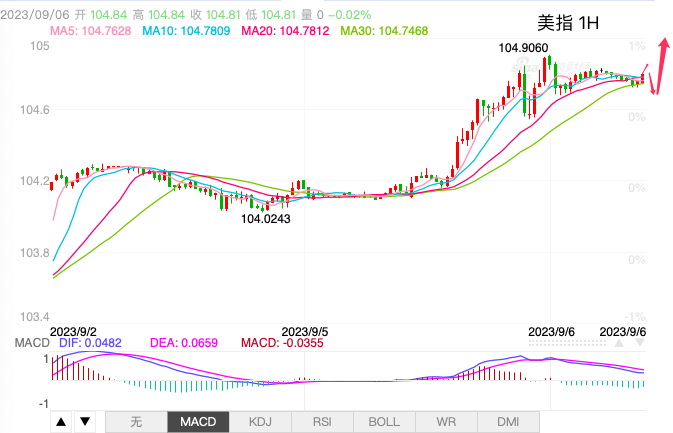 主次节奏：美指上行发力，短期看105.80-第1张图片-翡翠网