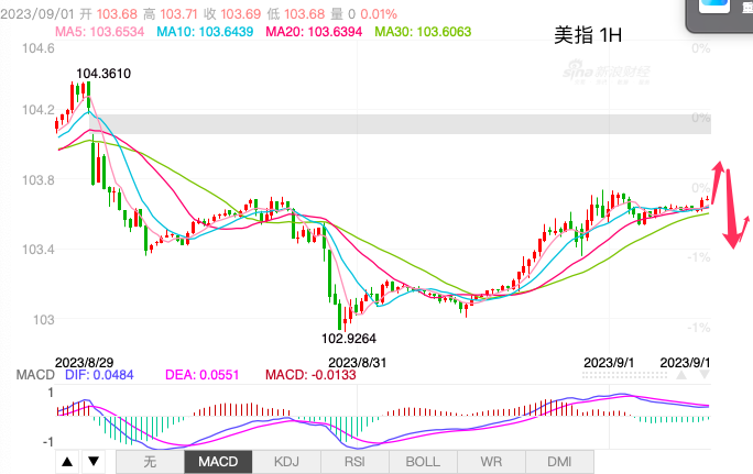 主次节奏：美指拐头上行，突破103.70则转为上涨-第1张图片-翡翠网