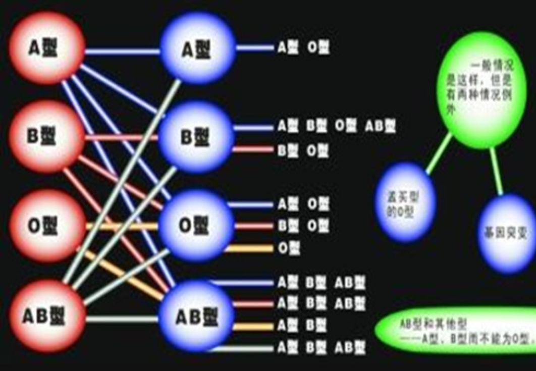 黄金血型,黄金血型在中国有吗-第2张图片-翡翠网