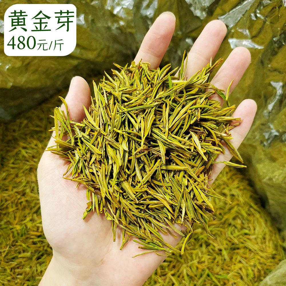 黄金芽属于什么茶功效和作用黄金芽属于什么茶-第1张图片-翡翠网