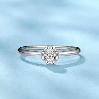 白金加钻石的小戒指得多少钱啊,白金加钻石的小戒指得多少钱