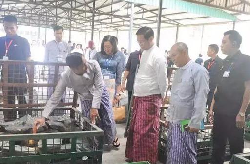 缅甸玉a货一般在多少钱缅甸翡翠的最新价格-第25张图片-翡翠网