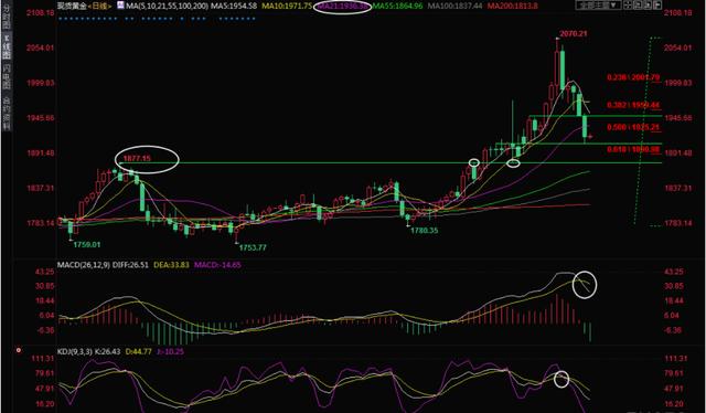 现在黄金一克多少钱,周大福黄金价格-第5张图片-翡翠网