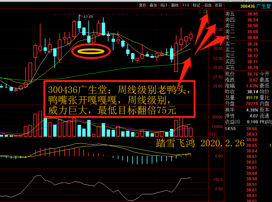 湖南黄金股吧股吧,002155湖南黄金股吧-第2张图片-翡翠网