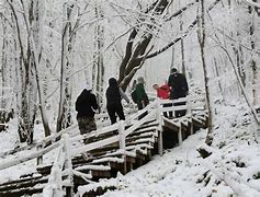 全国多地迎来首场降雪我市迎来首场降雪-第1张图片-翡翠网