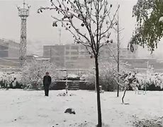 全国多地迎来首场降雪我市迎来首场降雪-第2张图片-翡翠网