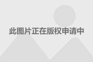 dr钻戒官网买要身份证吗,dr钻戒身份证查询入口-第2张图片-翡翠网